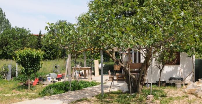 Βαριές καμπάνες στους απαγωγείς του καρδιολόγου