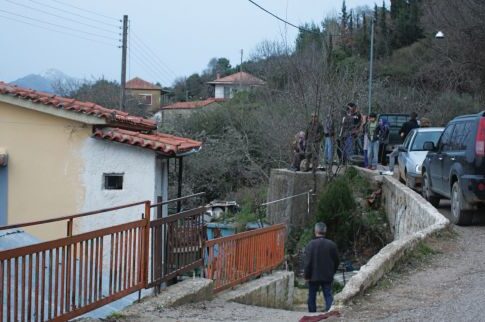 Φονικό για μερικά γουρούνια