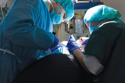 Θαυματουργή μέθοδος αναγεννά νεφρά έτοιμα για μεταμόσχευση