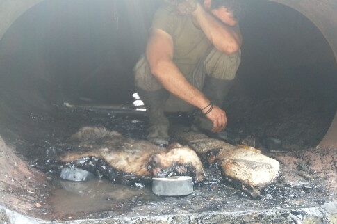 Κυνηγόσκυλο βρήκε φρικτό τέλος παγιδευμένο σε σιλό γεμάτο πίσσα