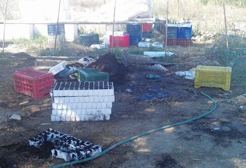 Εκαψε ζωντανά τα αδέλφια του για τα κληρονομικά!