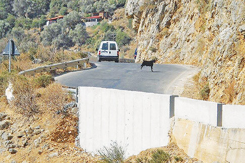 Εκτέλεσαν τρία κατσίκια για τον βράχο!