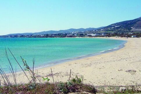Κινητοποιήθηκε η ομογένεια για το δράμα της 16χρονης Μυρτώς