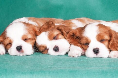 «Κουίζ» για τα δύο φύλα