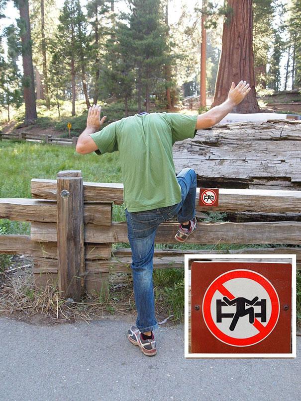 first world anarchists funny rebels 35
