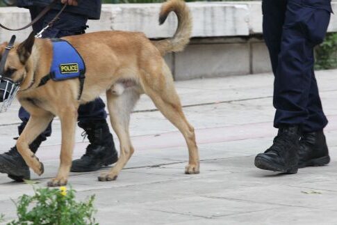 Περικοπές στα σκυλιά του Κ-9