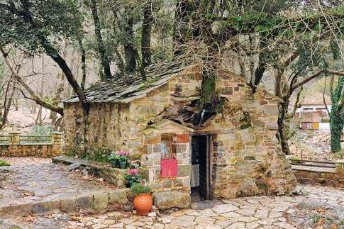 Τα δέντρα της πίστης