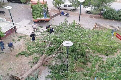 Δέντρο καταπλάκωσε μαθήτρια γυμνασίου μέσα σε παιδική χαρά
