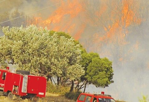 Νεαρός έβαζε φωτιές σε δάση της Αττικής γιατί είχε ερωτική απογοήτευση