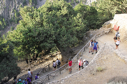 Τα «μαγικά» μυστικά στο φαράγγι της Σαμαριάς