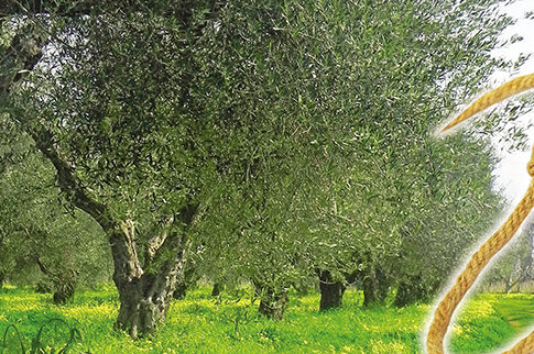 Η ανεργία τού έγινε θηλιά στο λαιμό!