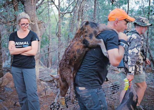 Η Φελίσιτι αναγκάζεται να παρακολουθήσει το πρώτο κυνήγι