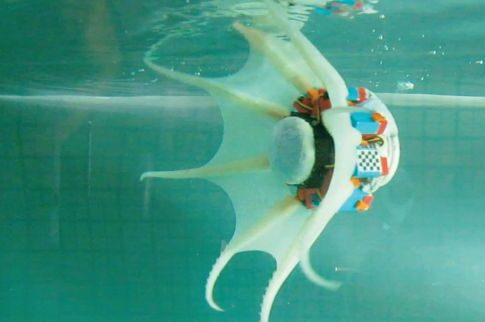 Επιχείρηση «roboctopus»!