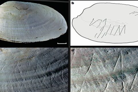 Ο Homo erectus ήταν «καλλιτέχνης»