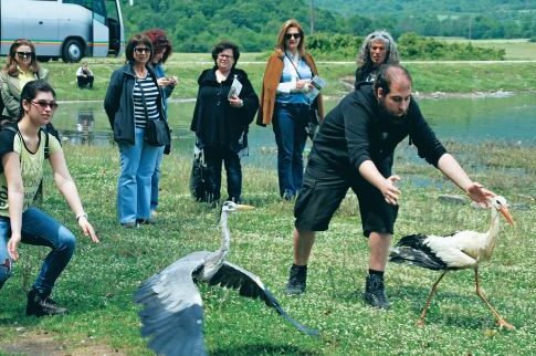 «Επείγοντα» για άγρια ζώα!
