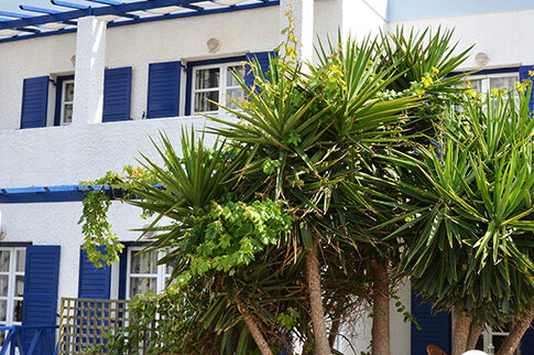 SYROS INN - Η μαγεία της φιλοξενίας με υψηλή αισθητική, σε προσιτές τιμές