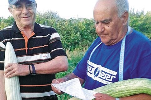 Ροδίτικα αγγούρια για τη... Μέρκελ