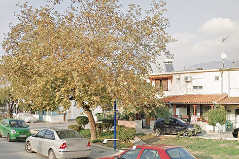 Κρεμάστηκε στην πλατεία!