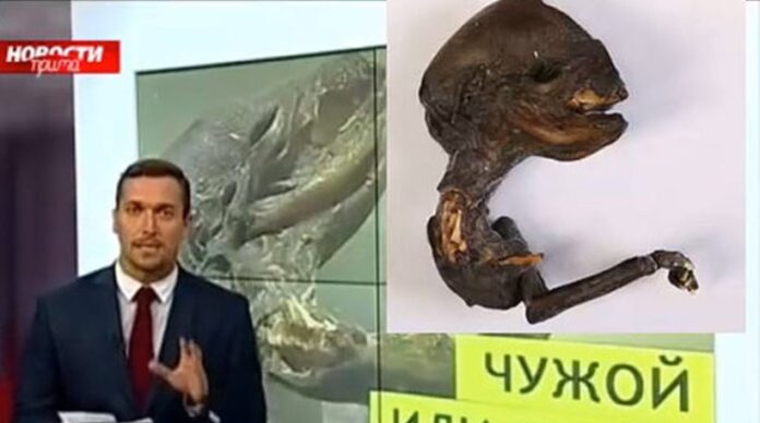 Ρωσία: Βρήκαν πτώμα «εξωγήινου» στις ακτές ποταμού;