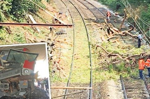 Γαλλία: Δέντρο προκάλεσε απίστευτο σιδηροδρομικό ατύχημα
