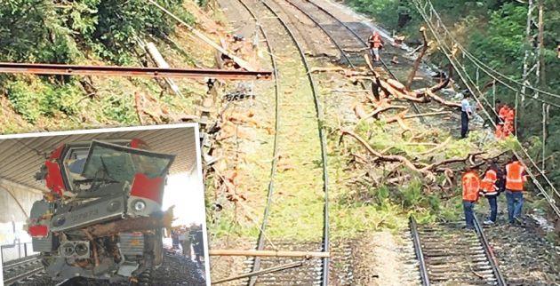 Γαλλία: Δέντρο προκάλεσε απίστευτο σιδηροδρομικό ατύχημα