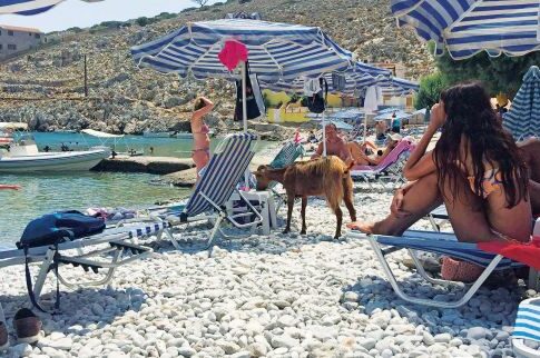 Kατσίκες για ηλιοθεραπεία