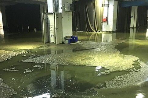Τραγική κατάσταση στο παλιό αεροδρόμιο