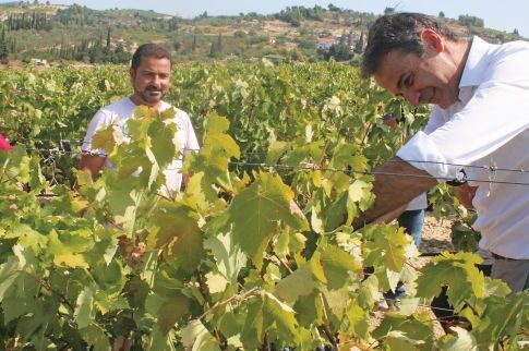 Ο...αμπελουργός Κυριάκος Μητσοτάκης και η υπόσχεση κατάργησης φόρου στο κρασί