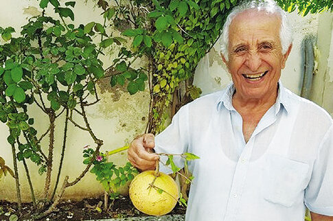 Ροδίτης έβγαλε στην αυλή του XXL ρόδι