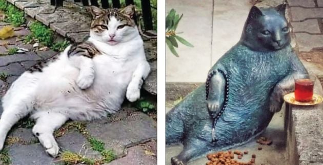 hjkhlkjhl