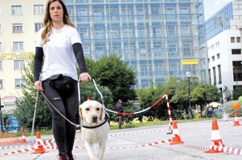 Περίπατος με τους σκύλους οδηγούς