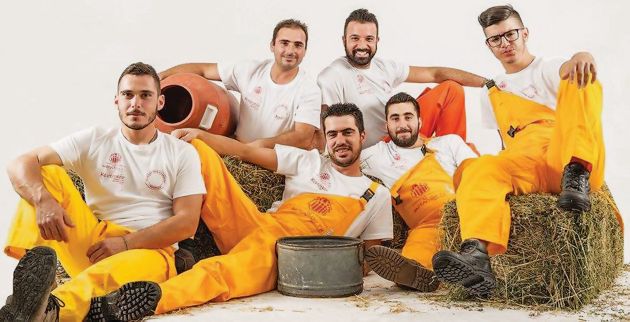 agrotes4