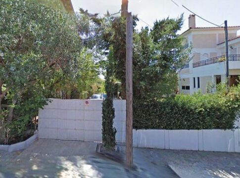 Τετράποδοι «Αϊνστάιν»