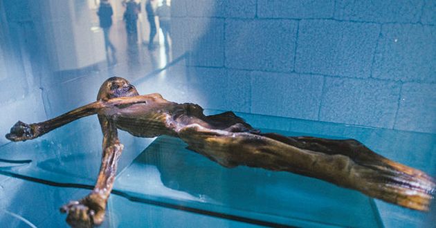 Η μούμια του Οτζι