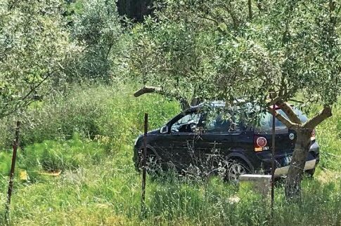 Σώθηκαν από τροχαίο και κινδύνεψαν από επίθεση εξαγριωμένων μελισσών