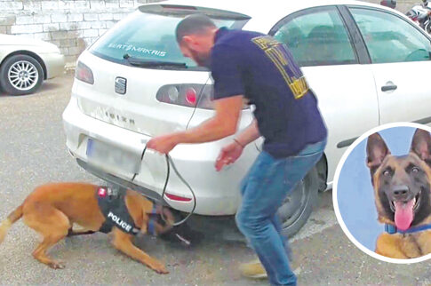 Φόβος και τρόμος ο Κάλιμαν για τους εμπόρους ναρκωτικών