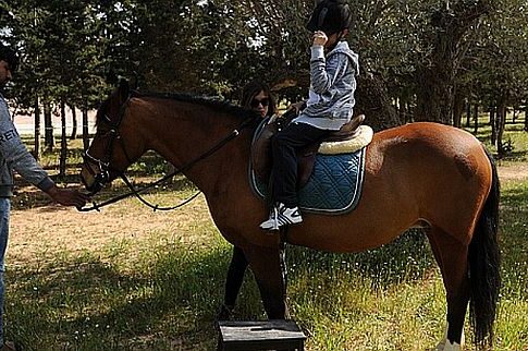 Βόλτες με άλογα και διασκεδαστικές δραστηριότητες στον ιππόδρομο στις 5 Ιουλίου