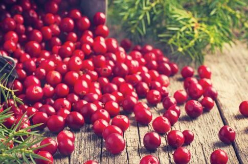 Η ευεργετική δράση των cranberries