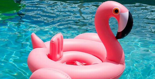 1106531-roz-flamingo-680