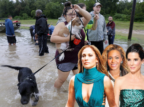 Celebrities με ευαισθησία