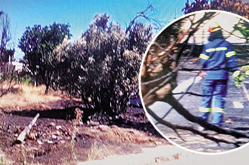 Επιασαν τον πυρομανή που είχε βάλει 16 φωτιές στην Αττική