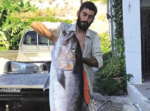 350.000 Ελληνόπουλα στο έλεος της ιλαράς
