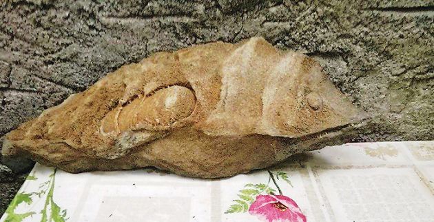 apolithomeno-psari92514