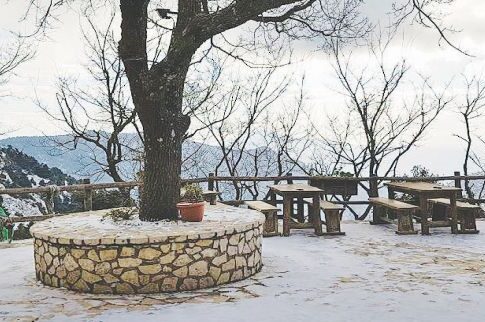Στα λευκά «ντύθηκε» με τα πρώτα χιόνια η Πάρνηθα