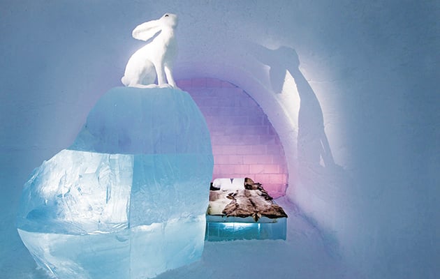 ΣΟΥΙΤΑ • «Ακολουθήστε το λευκό κουνέλι»