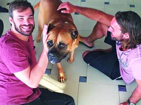 Πηγή έμπνευσης, ο χαριτωμένος Δίας