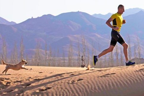 «Run Gobi, run!»