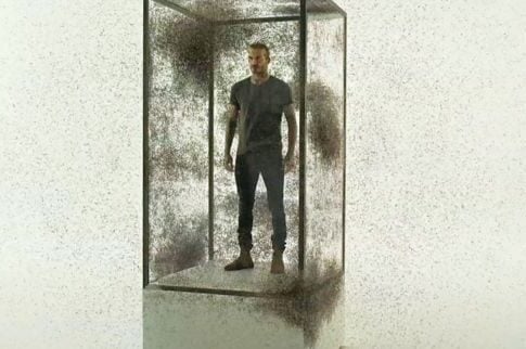 «Ντου» στον Μπέκαμ από 10.000 κουνούπια