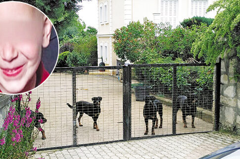 Αποζημίωση 160.000 € στη μητέρα του μικρού Στάθη, τον οποίο είχαν κατασπαράξει ροτβάιλερ στην Κοζάνη