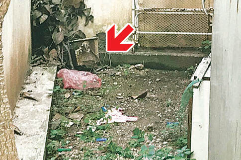 Πέθανε από το κρύο το μωράκι που πέταξαν σε ακάλυπτο της Νέας Σμύρνης